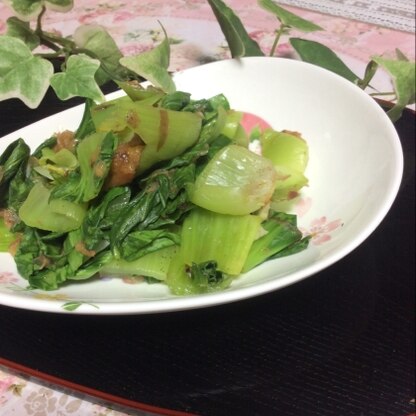 葉物野菜が高いけど特売でゲット！めっちゃ寒くて風も強くて飛ばされそうになりました←絶対に飛ばへんわ！(家族の声)
身に染みる美味しさでした♡
旨旨ごち様♡